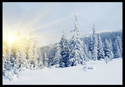 唯美雪地风景图片下载