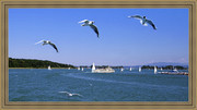 大海海鸥风景油画