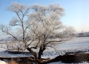 冬天雪地风景高清图片