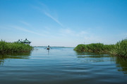 白洋淀湖水景区摄影图片