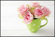 杯子中的粉色玫瑰花图片素材