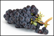 夏黑葡萄水果摄影图片