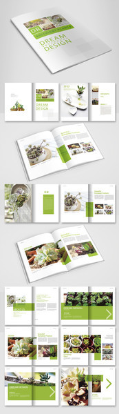 简洁画册模板 多肉植物手册设计