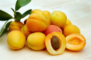 新鲜杏子水果图片下载