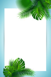 热带植物树叶边框图片素材