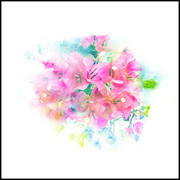 水彩花卉粉色花朵图片素材