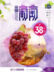 葡萄采摘水果宣传海报图片素材