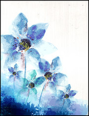 水彩蓝色花朵背景设计素材
