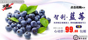 淘宝蓝莓宣传海报