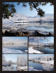 北京植物园雪景图片下载