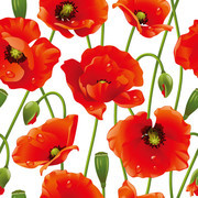 红色花朵背景图片