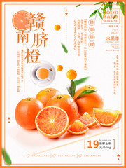 赣南脐橙水果促销广告
