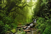 森林山水风景图片素材