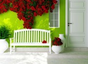 花瓶长椅与墙上的红色花藤图片