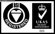 BSI认证标志下载