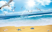 沙滩海鸥风景装饰画图片