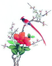 花卉植物上的红色小鸟绘画创意图片