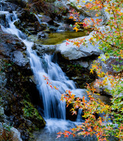 秋天溪流风景图片素材