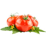 新鲜的西红柿高清图