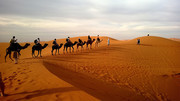 沙漠上的行走的驼队高清图