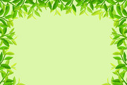 绿色茶叶框架设计矢量素材