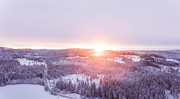 冬季森林晨光雪景高清图