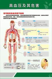 高血压及危害医疗健康展板图片