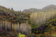 秋天山林风景油画