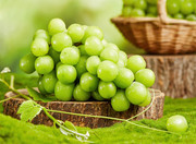 绿色葡萄水果摄影高清大图素材