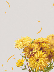 手绘菊花背景图片设计素材
