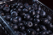 蓝莓水果高清图片下载