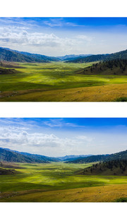 北疆草原风光图片