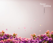 紫色花卉背景图片下载