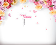 玫瑰花背景设计图片
