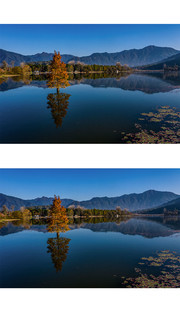 奇墅湖秋景图片