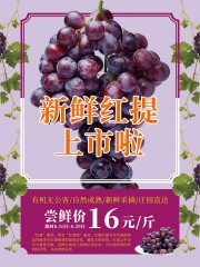 新鲜红提水果宣传海报图片下载