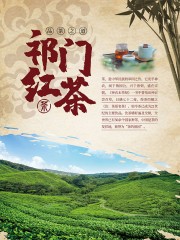中国风祁门红茶海报