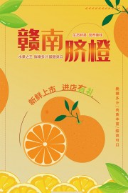 赣南脐橙橙子水果海报图片下载