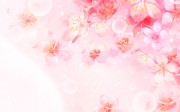 粉色樱花花瓣背景图片素材