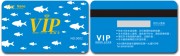 藍色VIP卡模板