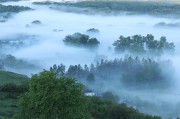 森林里的雾气风景图片素材