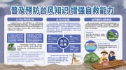 夏季预防台风自救科普宣传栏下载