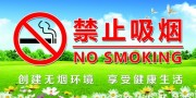 禁止吸烟海报图片素材