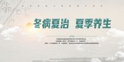 冬病夏治中国风夏季养生海报图片