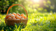 阳光下的一篮子鸡蛋图片