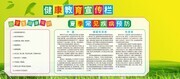 清新风夏季健康教育宣传栏