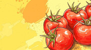 手绘水彩番茄背景