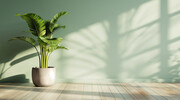 室内植物光影效果背景墙