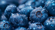 蓝莓高清图片素材