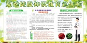 夏季健康知识宣传栏图片下载